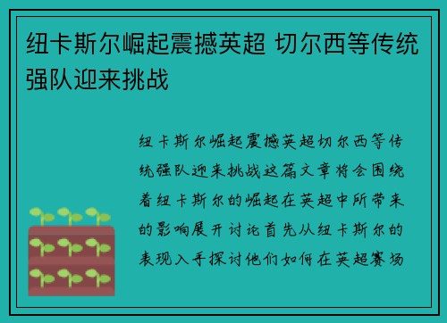 纽卡斯尔崛起震撼英超 切尔西等传统强队迎来挑战 纽卡斯尔崛起震撼英超 切尔西等传统强队迎来挑战